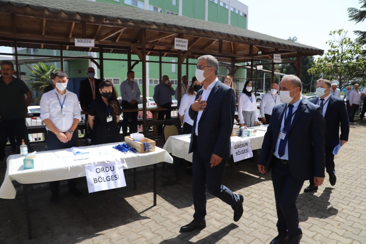 2017 Fındık Alımı Başladı
