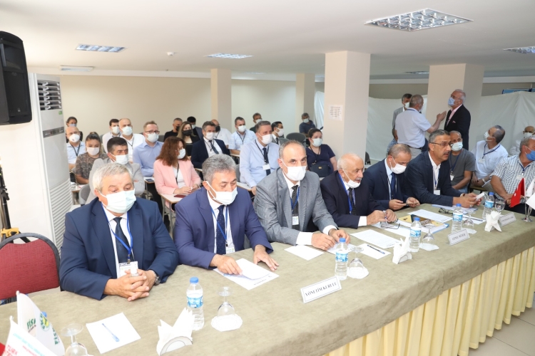 2017 Fındık Alımı Başladı