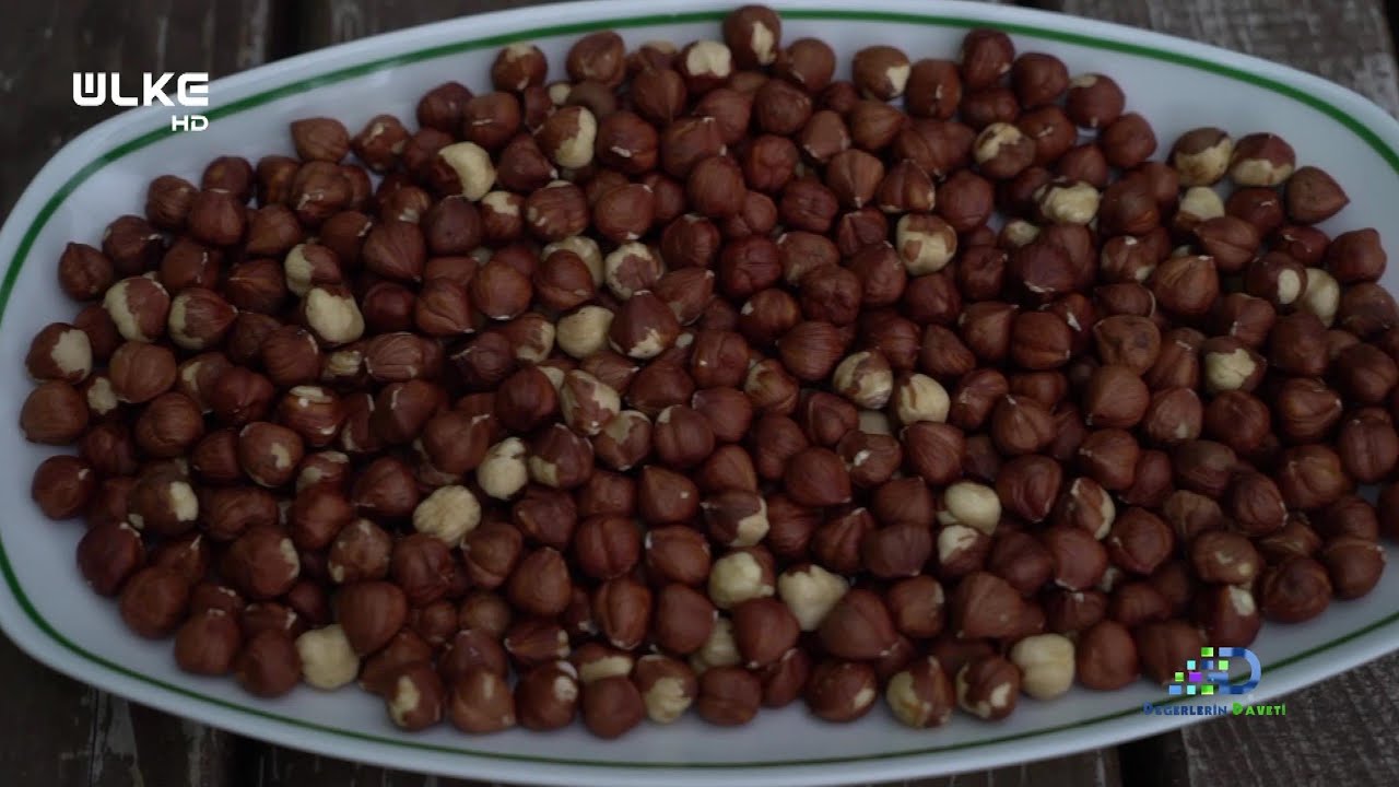 Değerlerin Daveti - Giresun Tombul Fındığı